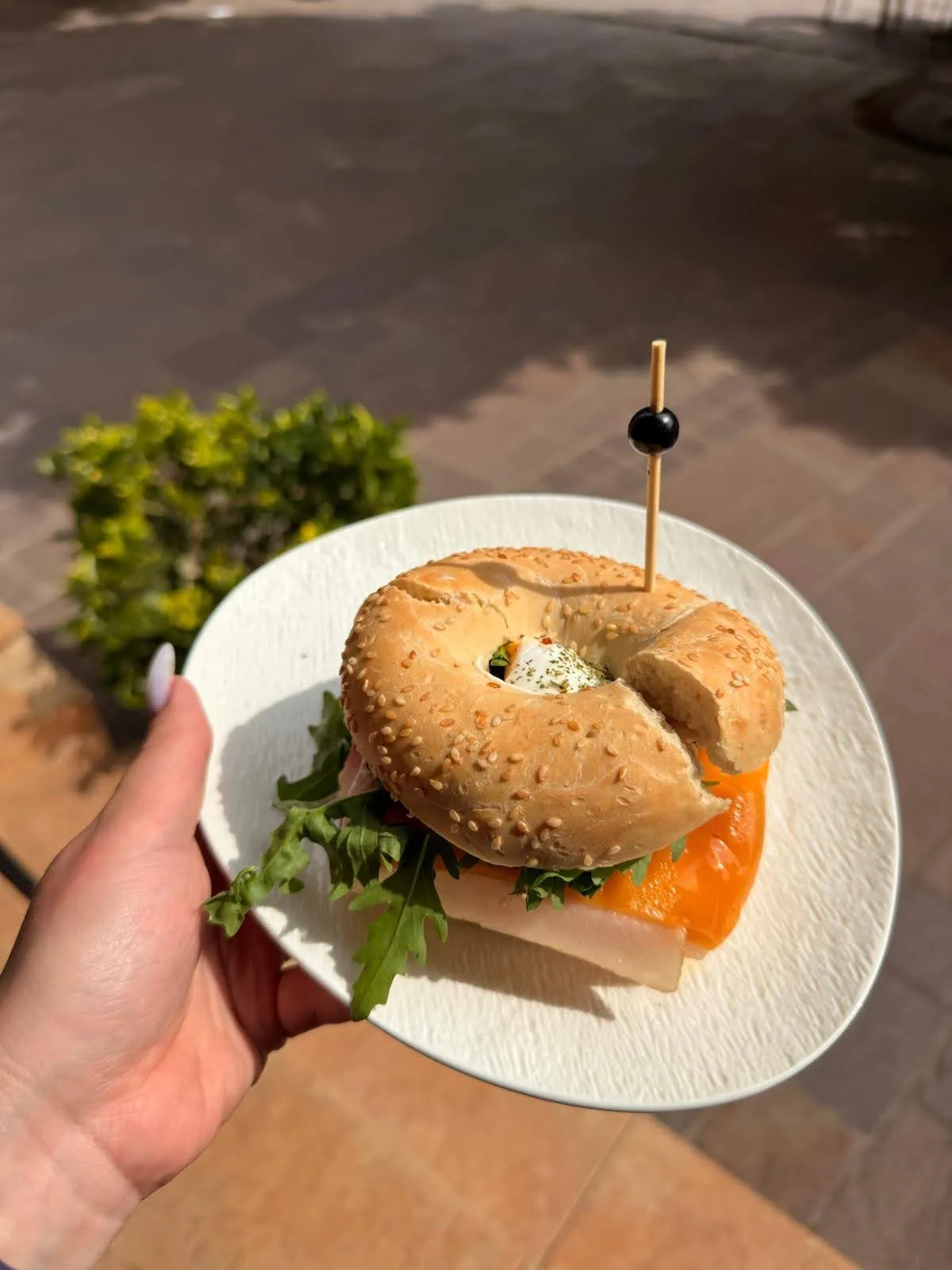 Bagel – Raňajky, Muse Košice